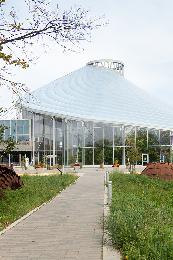 exterior of the leaf