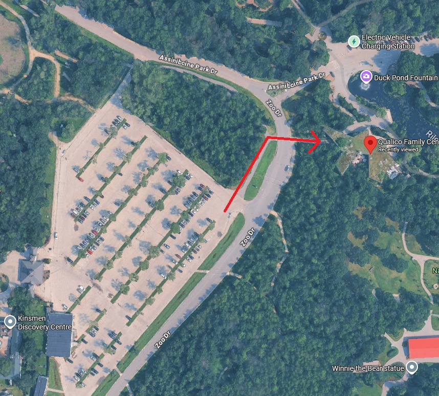 An arrow depicts walking north of the parking lot on Zoo Dr & Assiniboine Park Dr until you reach a crosswalk, which you can follow to the entrance to the Qualico Centre